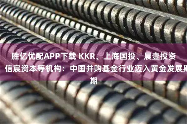 胜亿优配APP下载 KKR、上海国投、晨壹投资、信宸资本等机构：中国并购基金行业迈入黄金发展期