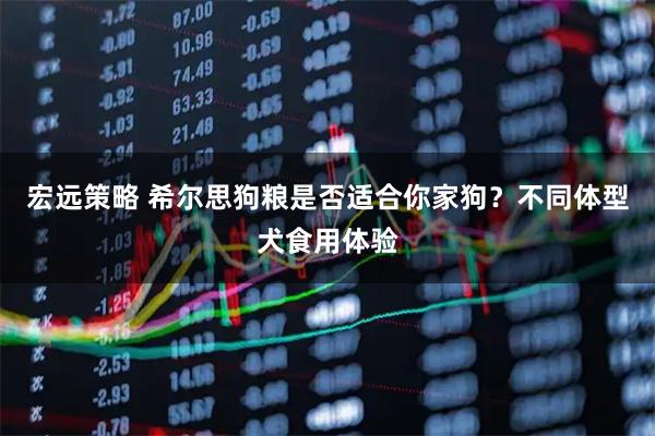 宏远策略 希尔思狗粮是否适合你家狗？不同体型犬食用体验