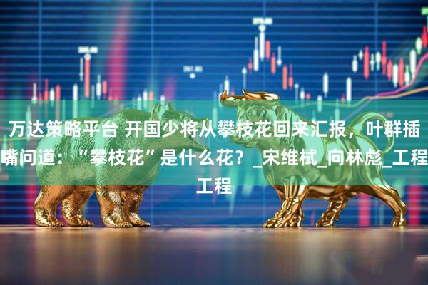 万达策略平台 开国少将从攀枝花回来汇报，叶群插嘴问道：“攀枝花”是什么花？_宋维栻_向林彪_工程