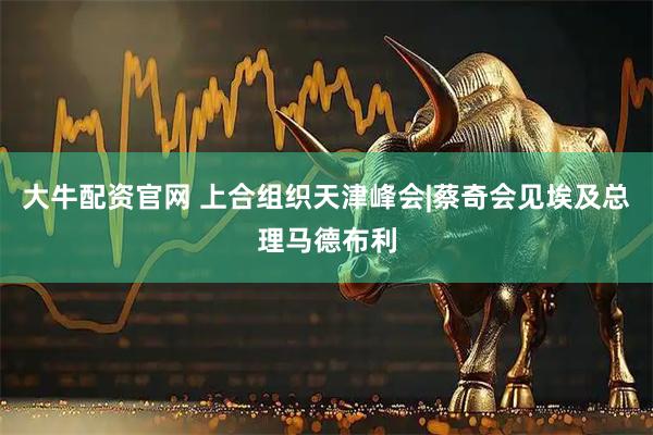 大牛配资官网 上合组织天津峰会|蔡奇会见埃及总理马德布利