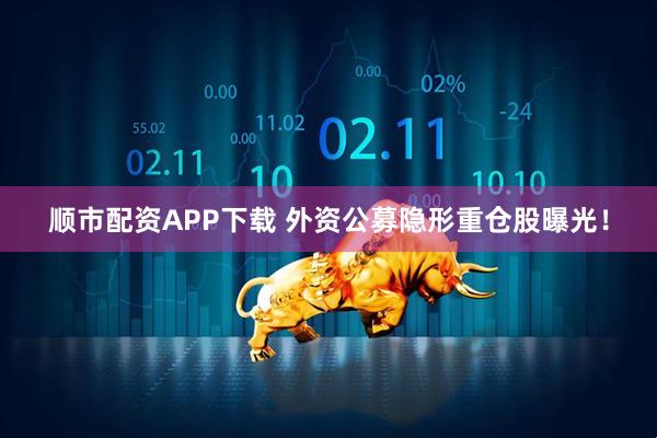 顺市配资APP下载 外资公募隐形重仓股曝光！