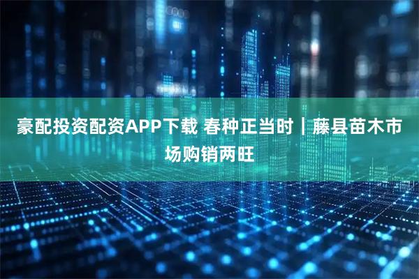 豪配投资配资APP下载 春种正当时｜藤县苗木市场购销两旺